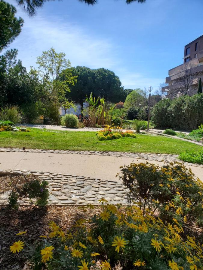 Le Grenier, Climatisation Terrasse Wi-Fi Netflix 15 Mn Coeur De Ville Beziers Exterior photo